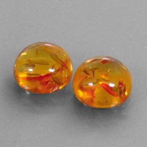 Achetez naturel ct orange ambre gems, transparent, en provenance pologne chez gemselect. en stock, livraison internationale!