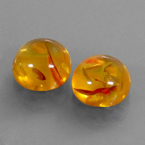 Achetez naturel ct orange ambre gems, transparent, en provenance pologne chez gemselect. en stock, livraison internationale!