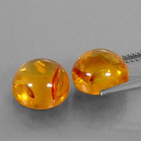 Achetez naturel ct orange ambre gems, transparent, en provenance pologne chez gemselect. en stock, livraison internationale!