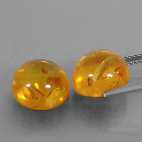 Achetez naturel ct orange ambre gems, transparent, en provenance pologne chez gemselect. en stock, livraison internationale!