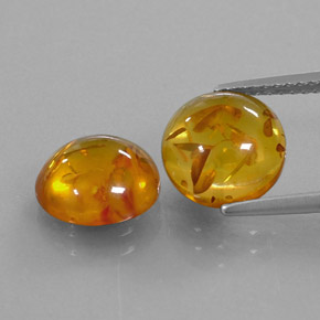 Achetez naturel ct orange ambre gems, transparent, en provenance pologne chez gemselect. en stock, livraison internationale!