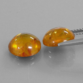 Achetez naturel ct orange ambre gems, transparent, en provenance pologne chez gemselect. en stock, livraison internationale!