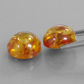 Achetez naturel ct orange ambre gems, transparent, en provenance pologne chez gemselect. en stock, livraison internationale!