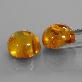 Achetez naturel ct orange ambre gems, transparent, en provenance pologne chez gemselect. en stock, livraison internationale!
