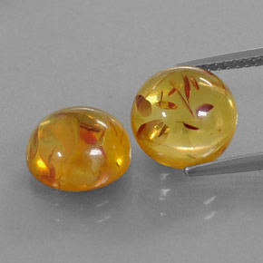 Achetez naturel ct orange ambre gems, transparent, en provenance pologne chez gemselect. en stock, livraison internationale!