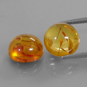 Achetez naturel ct orange ambre gems, transparent, en provenance pologne chez gemselect. en stock, livraison internationale!