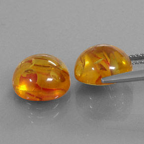 Achetez naturel ct orange ambre gems, transparent, en provenance pologne chez gemselect. en stock, livraison internationale!