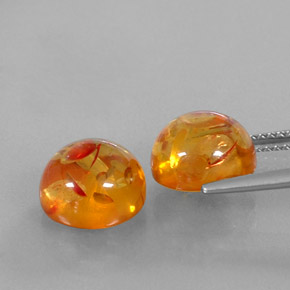 Achetez naturel ct orange ambre gems, transparent, en provenance pologne chez gemselect. en stock, livraison internationale!