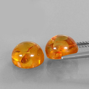 Achetez naturel ct orange ambre gems, transparent, en provenance pologne chez gemselect. en stock, livraison internationale!