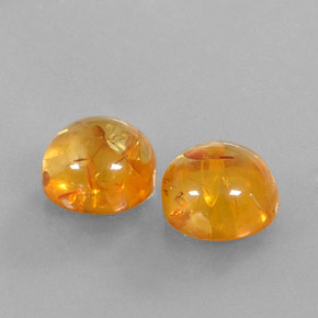 Achetez naturel ct orange ambre gems, transparent, en provenance pologne chez gemselect. en stock, livraison internationale!