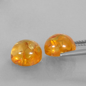 Achetez naturel ct orange ambre gems, transparent, en provenance pologne chez gemselect. en stock, livraison internationale!