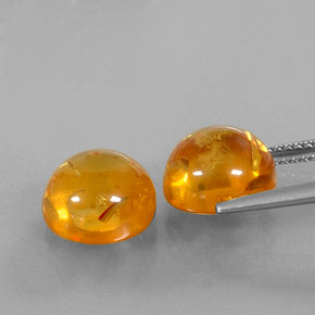 Achetez naturel ct orange ambre gems, transparent, en provenance pologne chez gemselect. en stock, livraison internationale!