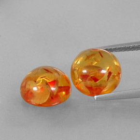 Achetez naturel ct orange ambre gems, transparent, en provenance pologne chez gemselect. en stock, livraison internationale!