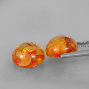 Achetez naturel ct orange ambre gems, transparent, en provenance pologne chez gemselect. en stock, livraison internationale!