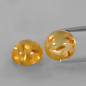 Achetez naturel ct orange ambre gems, transparent, en provenance pologne chez gemselect. en stock, livraison internationale!
