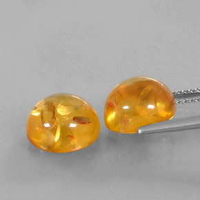 Achetez naturel ct orange ambre gems, transparent, en provenance pologne chez gemselect. en stock, livraison internationale!