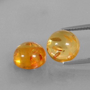 Achetez naturel ct orange ambre gems, transparent, en provenance pologne chez gemselect. en stock, livraison internationale!