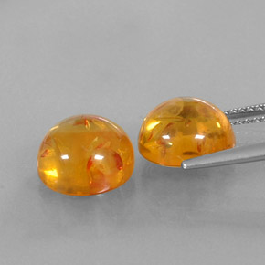 Achetez naturel ct orange ambre gems, transparent, en provenance pologne chez gemselect. en stock, livraison internationale!