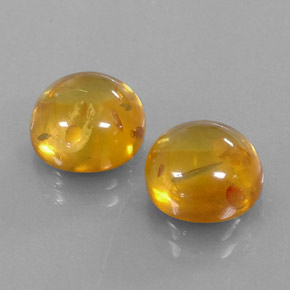 Achetez naturel ct orange ambre gems, transparent, en provenance pologne chez gemselect. en stock, livraison internationale!