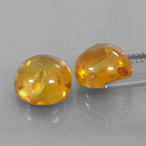 Achetez naturel ct orange ambre gems, transparent, en provenance pologne chez gemselect. en stock, livraison internationale!