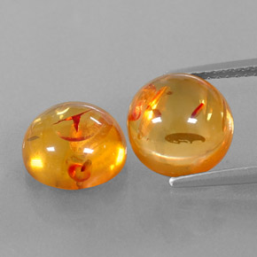 Achetez naturel ct orange ambre gems, transparent, en provenance pologne chez gemselect. en stock, livraison internationale!