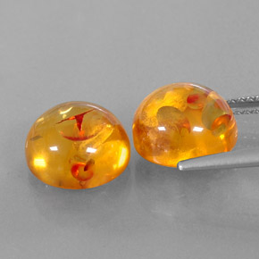 Achetez naturel ct orange ambre gems, transparent, en provenance pologne chez gemselect. en stock, livraison internationale!