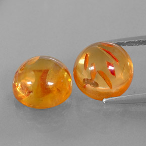 Achetez naturel ct orange ambre gems, transparent, en provenance pologne chez gemselect. en stock, livraison internationale!