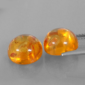 Achetez naturel ct orange ambre gems, transparent, en provenance pologne chez gemselect. en stock, livraison internationale!