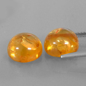 Achetez naturel ct orange ambre gems, transparent, en provenance pologne chez gemselect. en stock, livraison internationale!