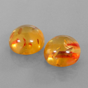Achetez naturel ct orange ambre gems, transparent, en provenance pologne chez gemselect. en stock, livraison internationale!
