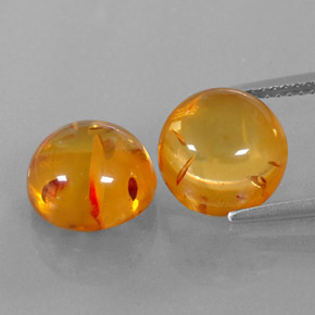 Achetez naturel ct orange ambre gems, transparent, en provenance pologne chez gemselect. en stock, livraison internationale!