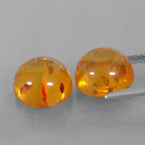 Achetez naturel ct orange ambre gems, transparent, en provenance pologne chez gemselect. en stock, livraison internationale!