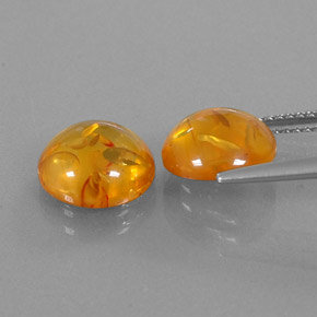 Achetez naturel ct orange ambre gems, transparent, en provenance pologne chez gemselect. en stock, livraison internationale!