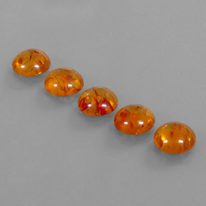 Achetez naturel ct orange ambre gems, transparent, en provenance pologne chez gemselect. en stock, livraison internationale!