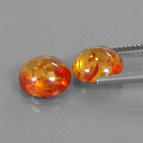 Achetez naturel ct orange ambre gems, transparent, en provenance pologne chez gemselect. en stock, livraison internationale!