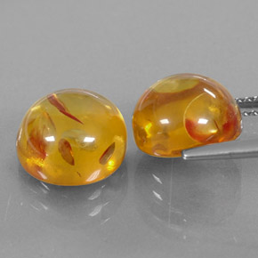 Achetez naturel ct orange ambre gems, transparent, en provenance pologne chez gemselect. en stock, livraison internationale!