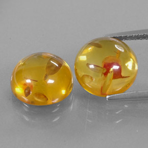 Achetez naturel ct orange ambre gems, transparent, en provenance pologne chez gemselect. en stock, livraison internationale!
