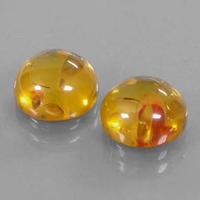Achetez naturel ct orange ambre gems, transparent, en provenance pologne chez gemselect. en stock, livraison internationale!