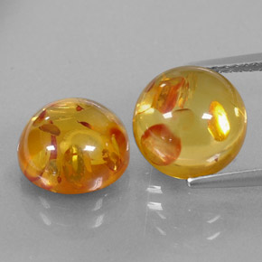 Achetez naturel ct orange ambre gems, transparent, en provenance pologne chez gemselect. en stock, livraison internationale!