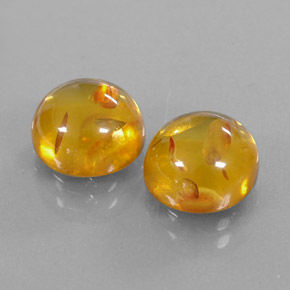Achetez naturel ct orange ambre gems, transparent, en provenance pologne chez gemselect. en stock, livraison internationale!