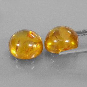 Achetez naturel ct orange ambre gems, transparent, en provenance pologne chez gemselect. en stock, livraison internationale!
