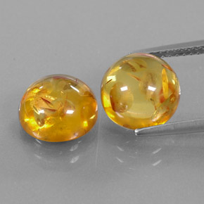 Achetez naturel ct orange ambre gems, transparent, en provenance pologne chez gemselect. en stock, livraison internationale!
