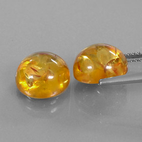 Achetez naturel ct orange ambre gems, transparent, en provenance pologne chez gemselect. en stock, livraison internationale!
