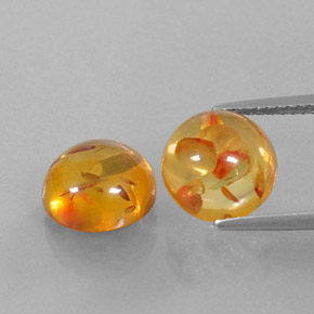 Achetez naturel ct orange ambre gems, transparent, en provenance pologne chez gemselect. en stock, livraison internationale!