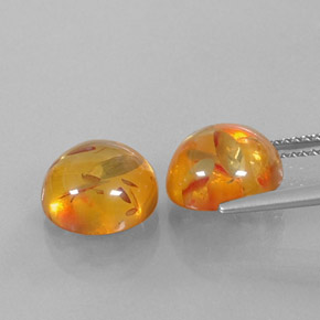 Achetez naturel ct orange ambre gems, transparent, en provenance pologne chez gemselect. en stock, livraison internationale!