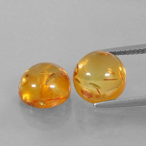 Achetez naturel ct orange ambre gems, transparent, en provenance pologne chez gemselect. en stock, livraison internationale!