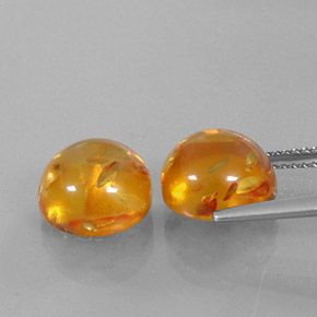 Achetez naturel ct orange ambre gems, transparent, en provenance pologne chez gemselect. en stock, livraison internationale!