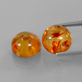 Achetez naturel ct orange ambre gems, transparent, en provenance pologne chez gemselect. en stock, livraison internationale!