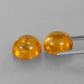 Achetez naturel ct orange ambre gems, transparent, en provenance pologne chez gemselect. en stock, livraison internationale!