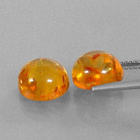 Achetez naturel ct orange ambre gems, transparent, en provenance pologne chez gemselect. en stock, livraison internationale!